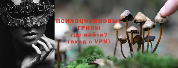 а пвп мука Нея