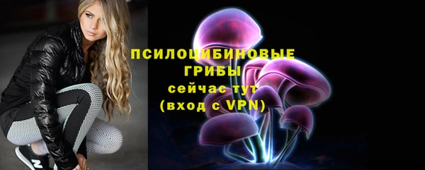 а пвп мука Нея