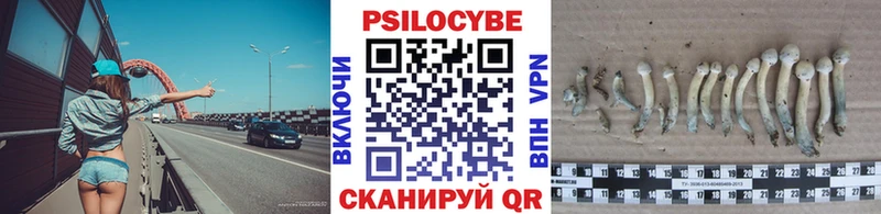 как найти наркотики  Талдом  Галлюциногенные грибы MAGIC MUSHROOMS 